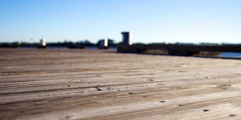 从蜂巢到未来:生物基与可编程材料如何重塑创意设计的伦理与美学新范式