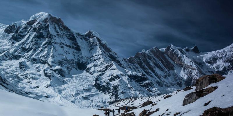 创意设计如何引爆社交媒体营销：从红色主题到蜂巢网的视觉革命