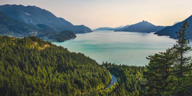 创意设计思维如何重塑社区?参与式设计与蜂巢网模式破解社会复杂难题
