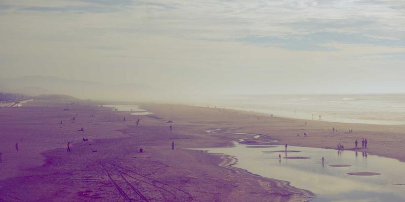 向自然借智慧:生物仿生学如何重塑工业设计,赋能品牌视觉与战略