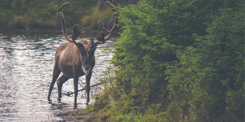 大脑偏爱什么设计？神经美学揭秘：孟菲斯风格如何重塑品牌认知