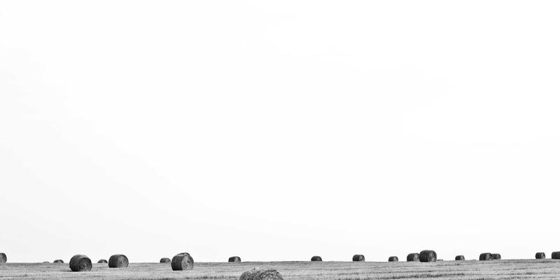 情感化设计:用微交互与视觉叙事打造让用户“上瘾”的数字产品