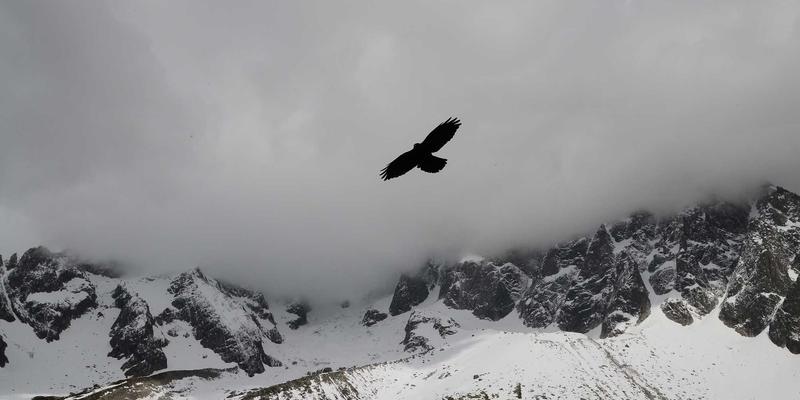 打破次元壁：孟菲斯风格如何为元宇宙品牌空间注入灵魂