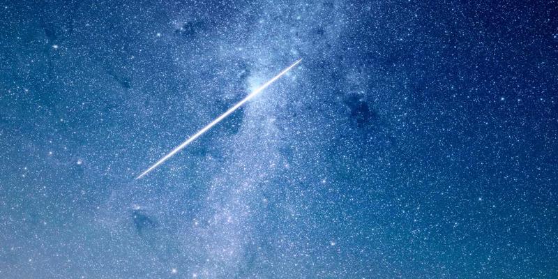 生物数字融合设计:重塑品牌未来的活体材料与智能交互