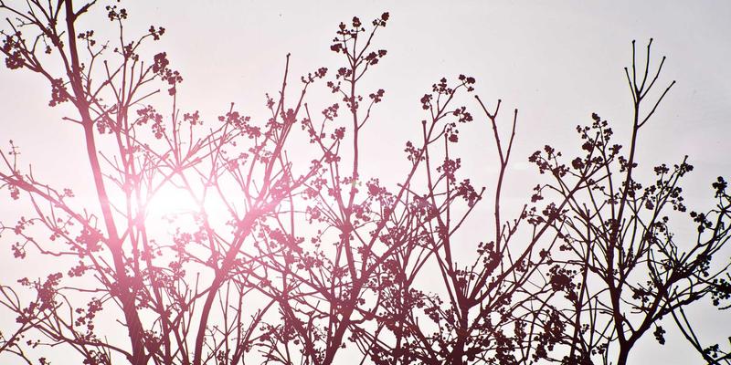 用故事预见未来：设计虚构如何重塑品牌战略与视觉叙事