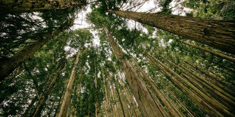 留白的力量:从孟菲斯风格看创意设计如何用负空间构建品牌灵魂