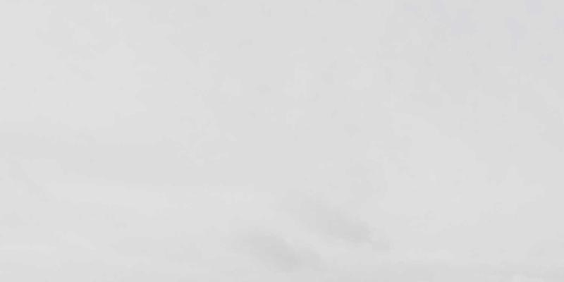 神经美学与创意设计：基于脑科学原理优化视觉传达与用户体验的策略