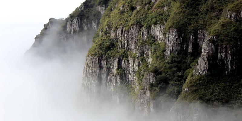 设计思维重塑社区:如何用品牌策划与蜂巢网模型解决复杂社会问题